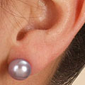 Grey Cultured Freshwater Pearl Earrings