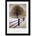 David Lorenz Winston Solitude Framed Art Print