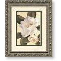 W. Schwarzbek Morning Magnolia Framed Art Print