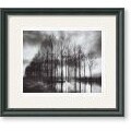 Bill Philip Trees in Normandy Framed Art Print