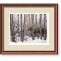 Stephen Lyman A Walk in the Woods Framed Art Print