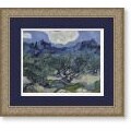 Van Gogh 'The Olive Trees, 1889' Framed Art Print