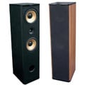 Premier Acoustic PA-8F Standing Speakers (Pair)