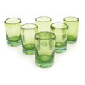 Lime and Salt 6-piece Shot Glass Set (Mexico)