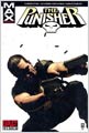 Punisher MAX Vol. 3