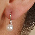 14k White Gold Cultured Akoya Leverback Earrings