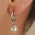 14k White Gold Cultured Akoya Leverback Earrings