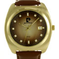Pierre Cardin Casual Brown Dial Watch