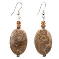 Fossil Coral and Tiger's Eye Earrings