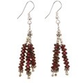 Silver-accented Garnet Earrings
