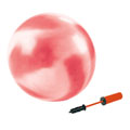 55cm Exercise Ball