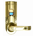 Gold Finish Fingerprint Door Lock (Right Handled)