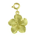 14k Yellow Gold Plumeria Charm
