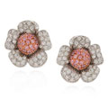 Sterling Silver CZ Two-tone Flower Earrings