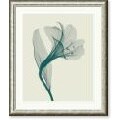 Steven N. Meyers Alstromeria I Framed Art Print