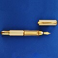 Sensa Meridian Champagne & Gold Fountain Pen