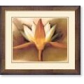 Betsy Cameron Orange Lotus Framed Art Print