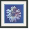 Andy Warhol Daisy 'Blue on Blue' 1982 Framed Art Print