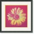 Andy Warhol Daisy, 1982 Framed Art Print