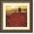 Steve Thoms Poppy Field Framed Art Print