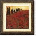 Steve Thoms Poppies Framed Art Print