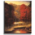 Vermillion Meadow by Striffolino Stretched Canvas