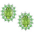 Sterling Silver Peridot Tsavorite Earrings
