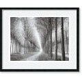 Chip Forelli Tree Parade Framed Art Print
