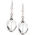 Charming Life Clear Rock Crystal Earrings