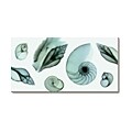 Steven N. Meyers Shell Collection Blue Canvas Art