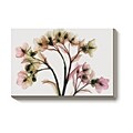 Steven N. Meyers Hellebore 2 Canvas Art