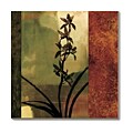 Chris Donovan Mesmerized I Canvas Art
