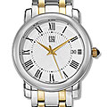 ESQ Filmore Men's Two-tone Watch