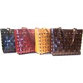 Rina Rich Woven Shoulder Bag