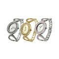 Geneva Platinum Circle Link Women's Fashion Watch