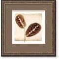Michael Mandolfo Maranta Leaves Framed Art Print
