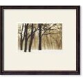 David Lorenz Winston Past Dreams Framed Art Print