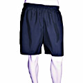 Nordic Track Men's Navy/Silver Stretch Woven Shorts