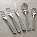 Cambridge Mercury Satin 20-piece Flatware Set