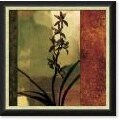Chris Donovan Mesmerized I Framed Canvas Art