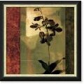 Chris Donovan Mesmerized II Framed Canvas Art