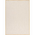 Indoor/Outdoor Beige Rug (7'9 x 11')
