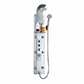 Shower Panel with Rain Shower Head