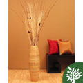 Cylinder Vase & Floral Arrangement