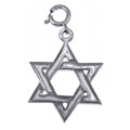 14k White Gold Star of David Charm