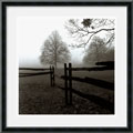 Harold Silverman Fence in the Mist Framed Art Print
