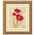 Carol Rowan Spicy Red Cosmos Framed Art Print