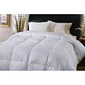 Famous Brand Woven Dot White Goose Down Comforter