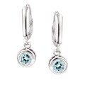 Sterling Silver Blue Topaz Leverback Earrings