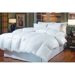 Arctica/Alpine White Down Comforter